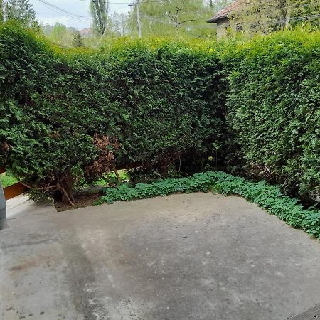 Pine Tree Apartment Sarajevo Ngoại thất bức ảnh