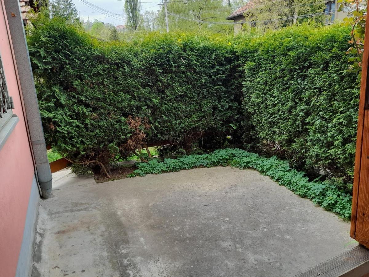 Pine Tree Apartment Sarajevo Ngoại thất bức ảnh
